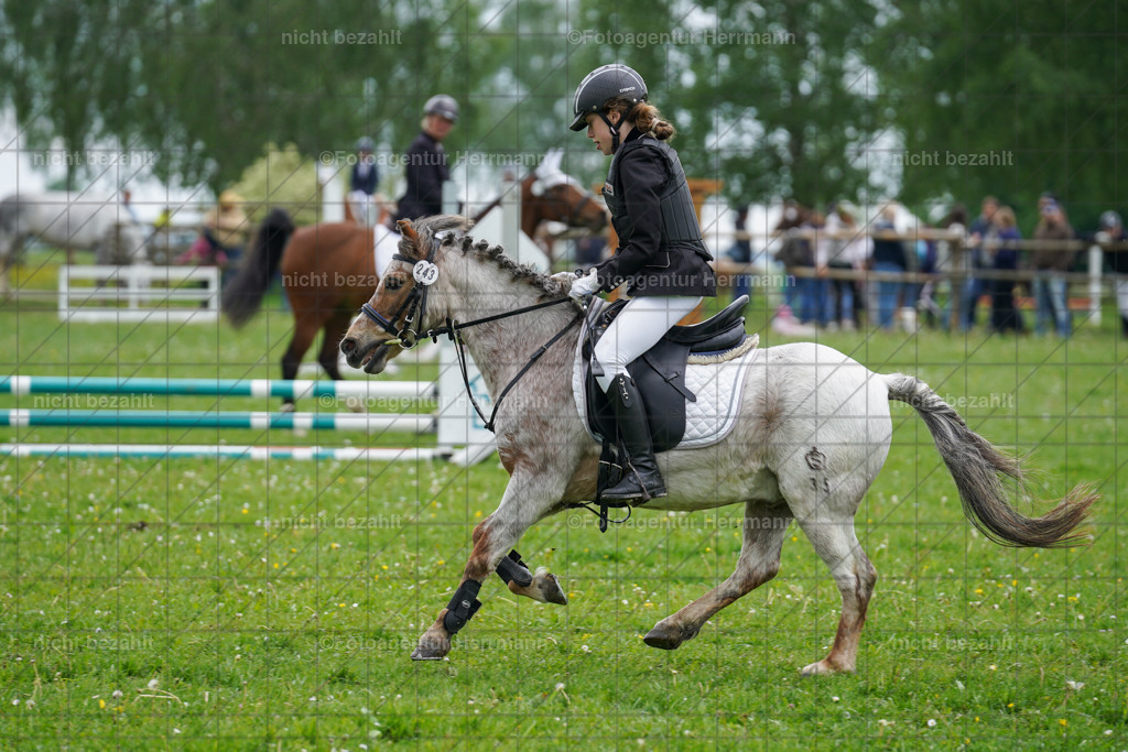 20240509-FAH02392 | Turnierbilder der Turnierfotografen Bayern, Pferdesport Fotografie, Reitsportbilder, Turnier Landberg am Lech, Turnierbilder bayern, Fotoagentur Herrmann