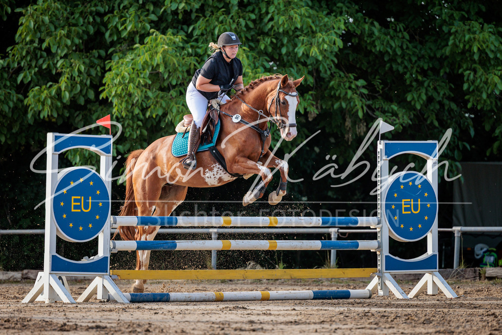 20260529-_3LI1348 | Tierfotografie Pferde, Hunde, Katzen, Haustiere.
Turnierfotografie Reitturniere, Reiten, Springreiten, Dressur in Hanau, dem Main-Kinzig-Kreis und dem Rhein-Main- Gebiet um Frankfurt