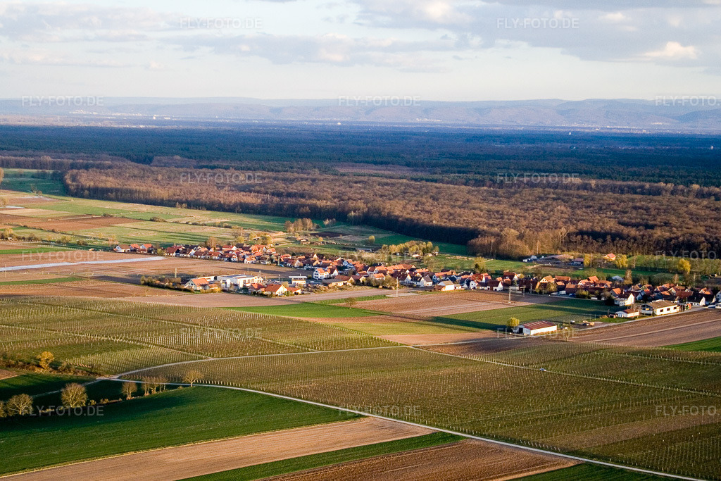 Luftbild: Dorfansicht von Nordwesten in Freckenfeld im Bundesland Rheinland-Pfalz in Deutschland. Foto: IMG_9882.jpg vom 18.03.2008 durch Werner Riehm/FLY-FOTO.de