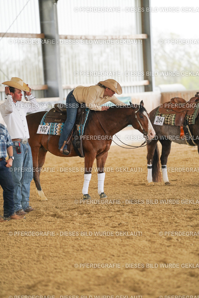 DSC07721 | Pferdegrafie