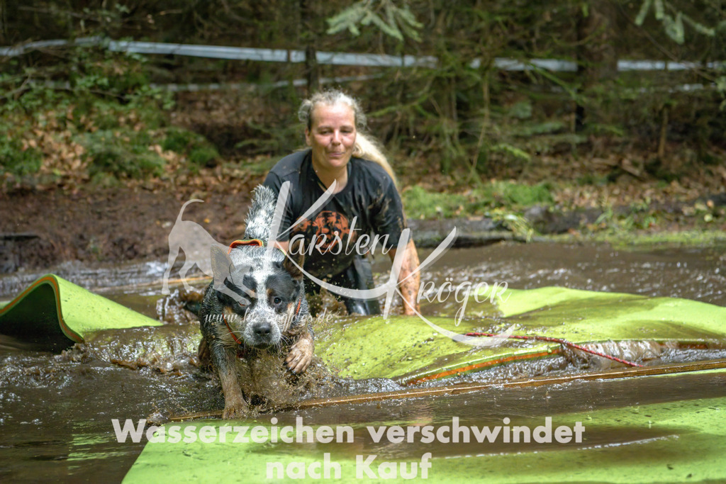 1531_ZZ91097-Bearbeitet | kk-dogfotos