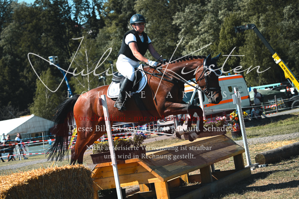 DSC_8145 | Pferde- und Turnierfotografie in Westsachsen. Pferdeportraits, Auftragszeichnungen und intuitive Kunst.
