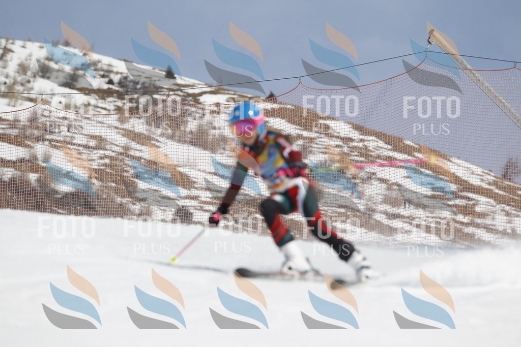 _U3G1237 | holidayphoto