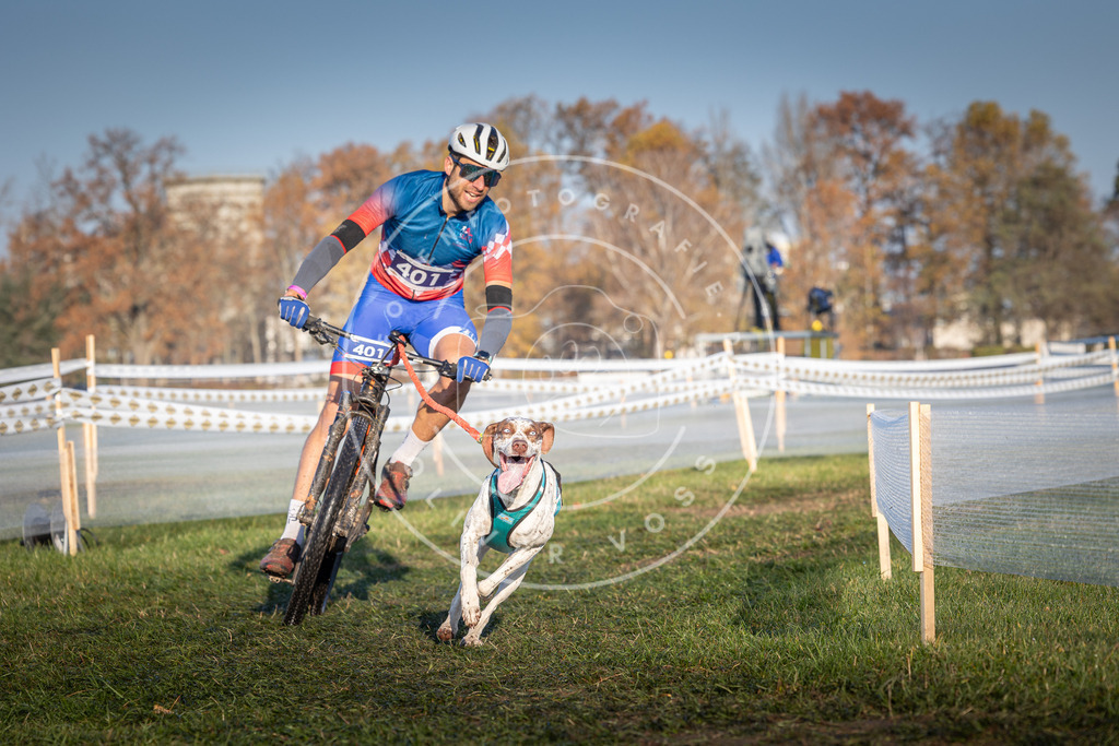 CaniXpix_0L8A3960 | Hundefotografie, Tierfotograf, Pfotenfotografie, Fotoshooting Hund, Hunde Portrait, Hundesport, Hundeportraits, Heideshooting, Hunde, Sportfotograf, Hundefotograf, Turnierhundsport, THS,  - Realisiert mit Pictrs.com
