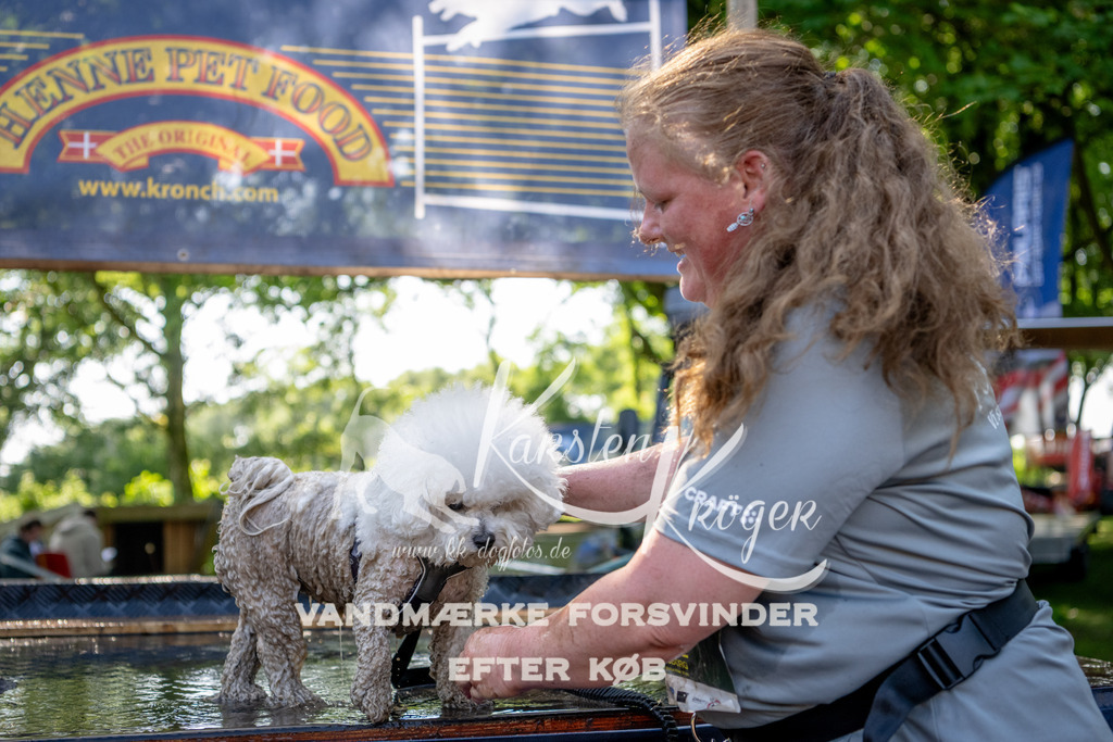 1517_ZZ90804 | kk-dogfotos