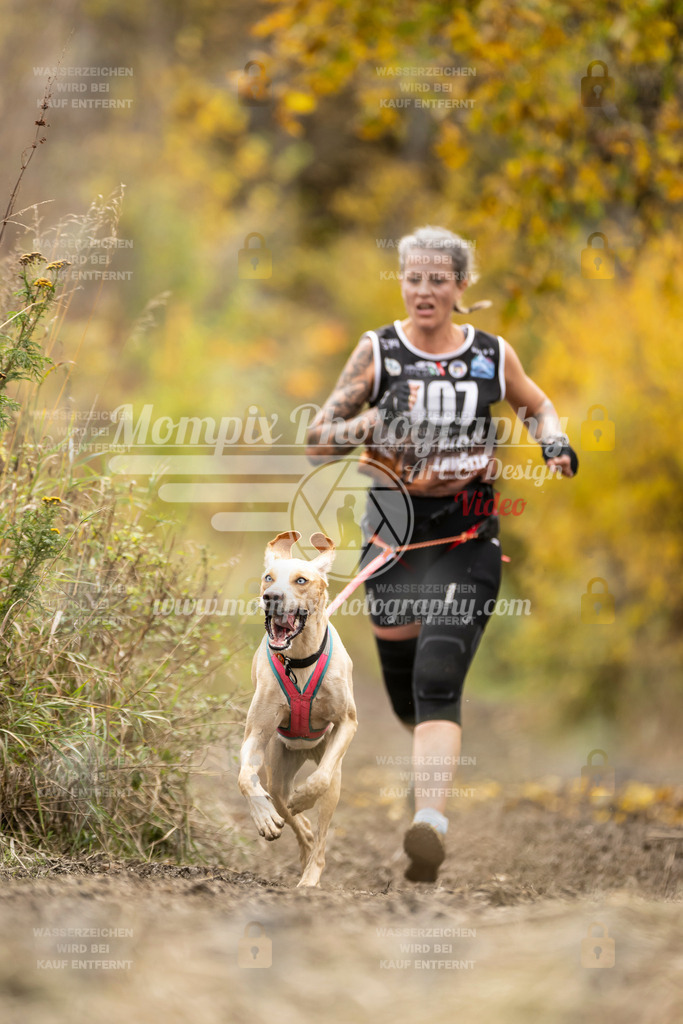 MompixPhotography_ICF_WC_2024_SA_Run_-377 | PayLife