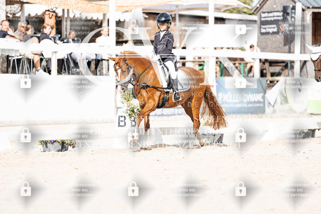 CK905285 | Turnierfotografie Pferdefotografie Trier Rheinland-Pfalz Pferdesport Reitsport Tierfotografie Sportfotografie Pferdevideo Pferdevideografie Equestrianvideography equestrianphotography  - Realisiert mit Pictrs.com