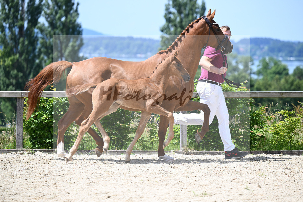 Va Bene x Zackman M_SF_Bauer_19240427 | hf-fotografie - Realisiert mit Pictrs.com