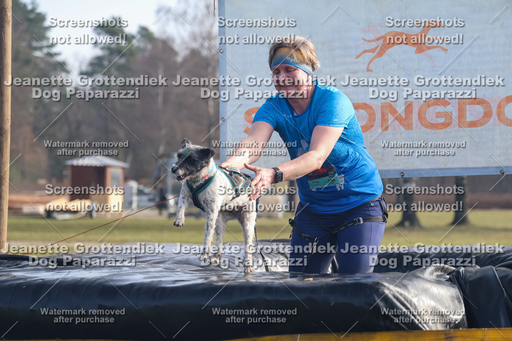 Dog Paparazzi - Strongdog North Mrz26-407 | Dog Paparazzi Jeanette Grottendiek Fotografie & Videografie - Realisiert mit Pictrs.com