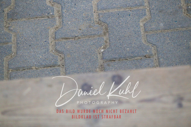 IMG_2686 | Turnierfotos kaufen im Webshop von Daniel Kuhl Photography – entdecke professionelle Reitsportfotos aus Turnieren & Events. Hochwertige Turnierbilder online bestellen & sichern. Jetzt Fotos von Reitsportturnieren kaufen!