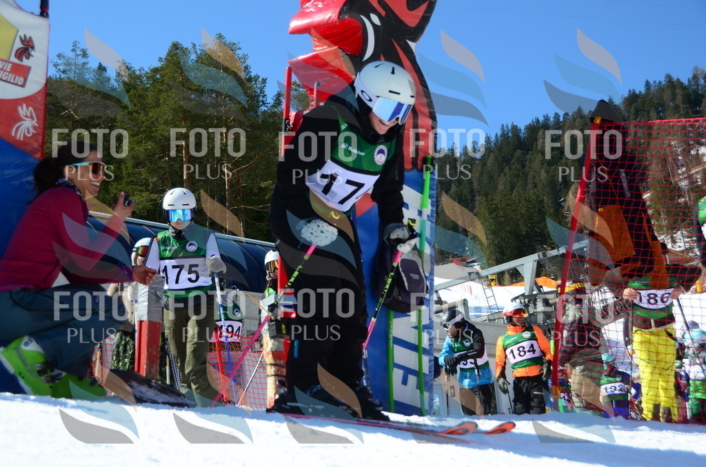 C6334 | holidayphoto