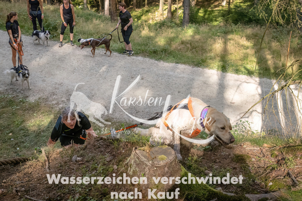 1047_ZZ92426 | kk-dogfotos