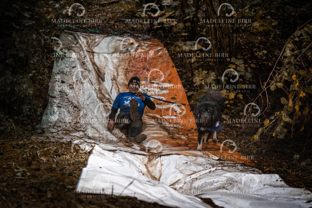madeleinebirr-fotografie2025.campcanis.sa.15-16Uhr-126 | hundefotografie-birr