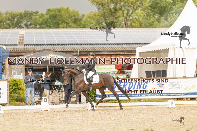 SW 4-1102 | mandyhollmannphotographie