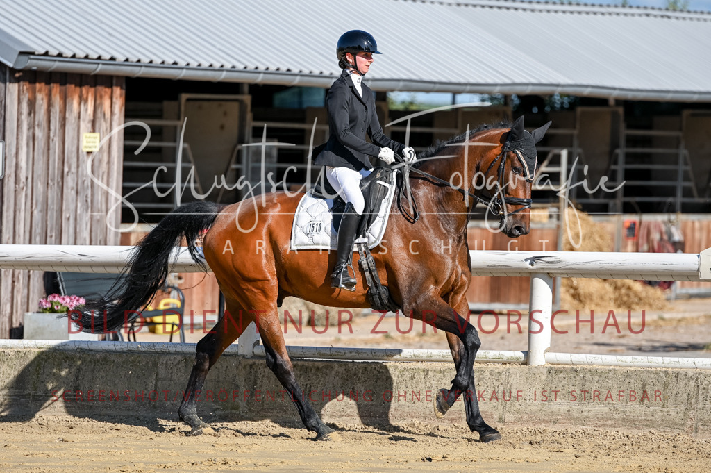 Schugtsche-Aluta25-51.Dressurpferdeprf.M-48 | Schugtsche Fotografie - Realisiert mit Pictrs.com