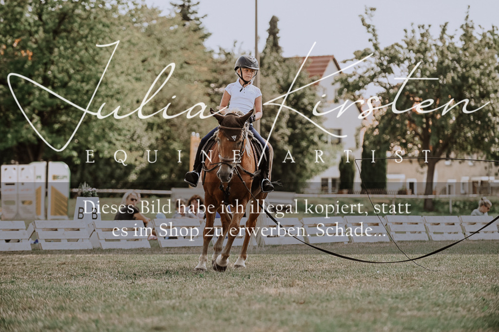 DSC_7801 | Pferde- und Turnierfotografie in Westsachsen. Pferdeportraits, Auftragszeichnungen und intuitive Kunst.