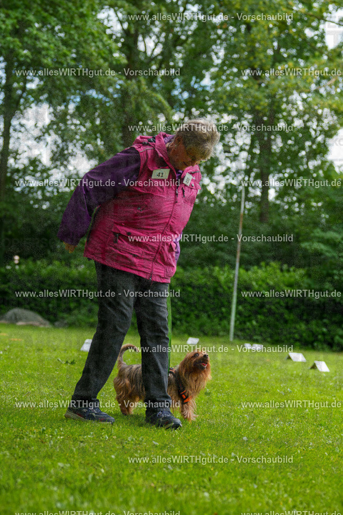 @allesWIRTHgut_Tierfotografie - www.allesWIRTHgut.de - 122215-7R508911 | Professionelle Tierfotografie in Mönchengladbach von Daniel Wirth (allesWIRTHgut). Liebevolle & natürliche Bilder von Hunden & Katzen für unvergessliche Erinnerungen.