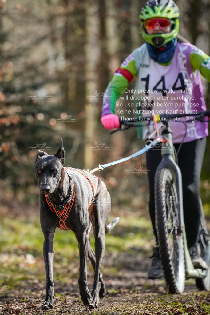 So2_Scooter1-10 | stephaniefillaphotographie - Realisiert mit Pictrs.com