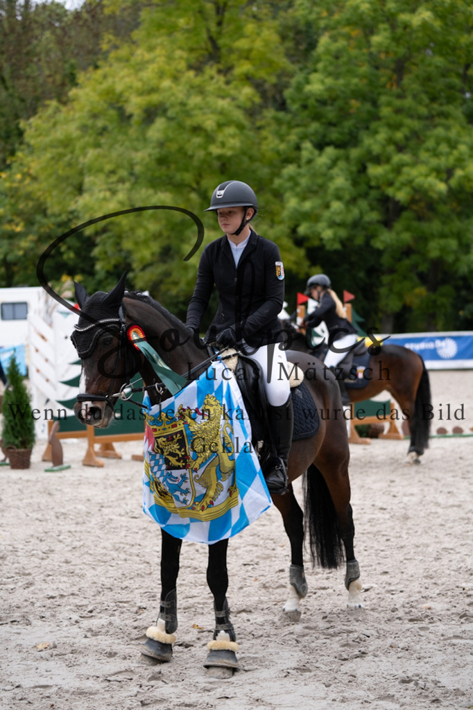 A7V08325 | Pferdefotograf