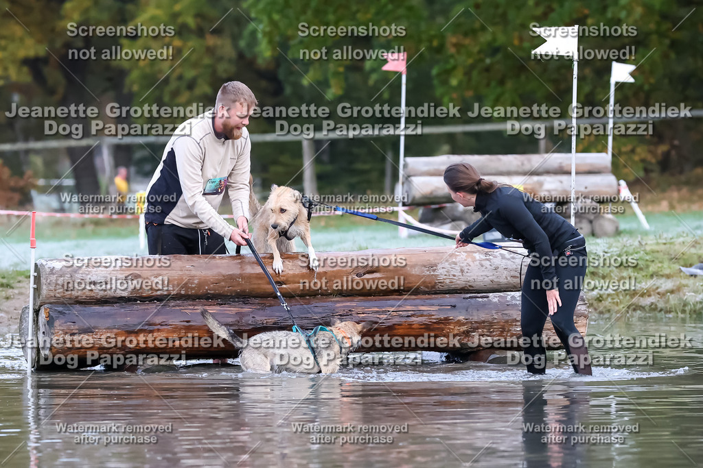 Dog Paparazzi - Strongdog 10-25-6177 | Dog Paparazzi Jeanette Grottendiek Fotografie & Videografie - Realisiert mit Pictrs.com