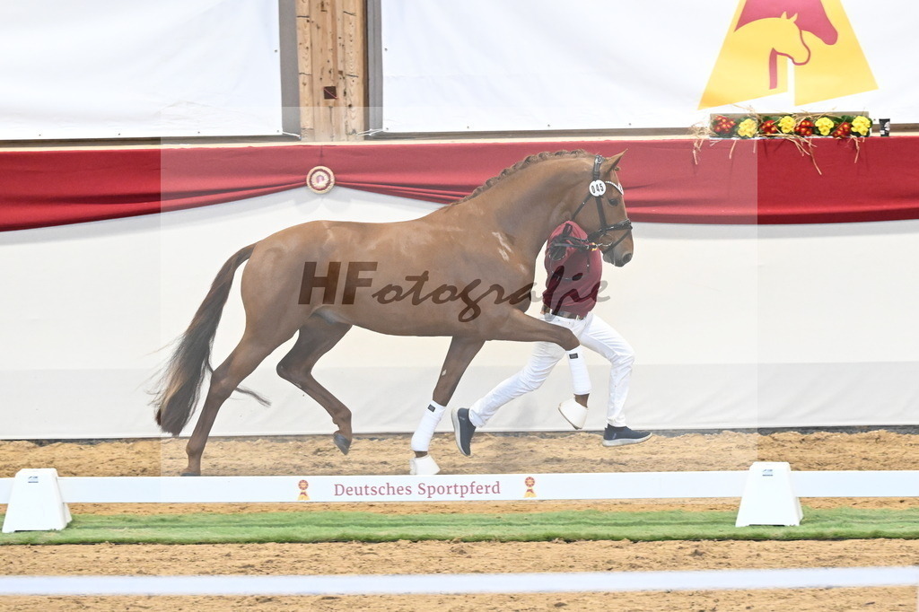 Kat.-Nr. 45 v. Escanto PS_De Vittorio und Stechele_3260370 | hf-fotografie - Realizzato con Pictrs.com