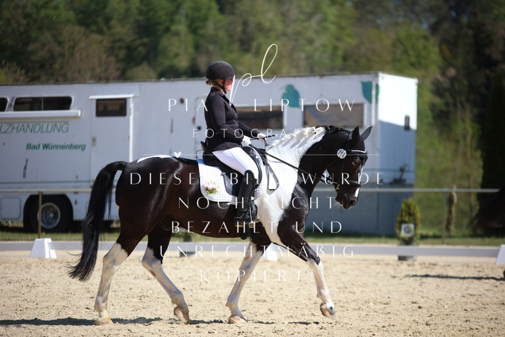 IMGT2134 | pl-fotografie