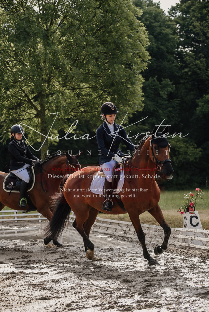 DSC_8453 | Pferde- und Turnierfotografie in Westsachsen. Pferdeportraits, Auftragszeichnungen und intuitive Kunst.