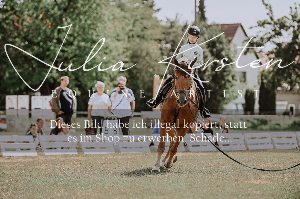 DSC_7550 | Pferde- und Turnierfotografie in Westsachsen. Pferdeportraits, Auftragszeichnungen und intuitive Kunst.