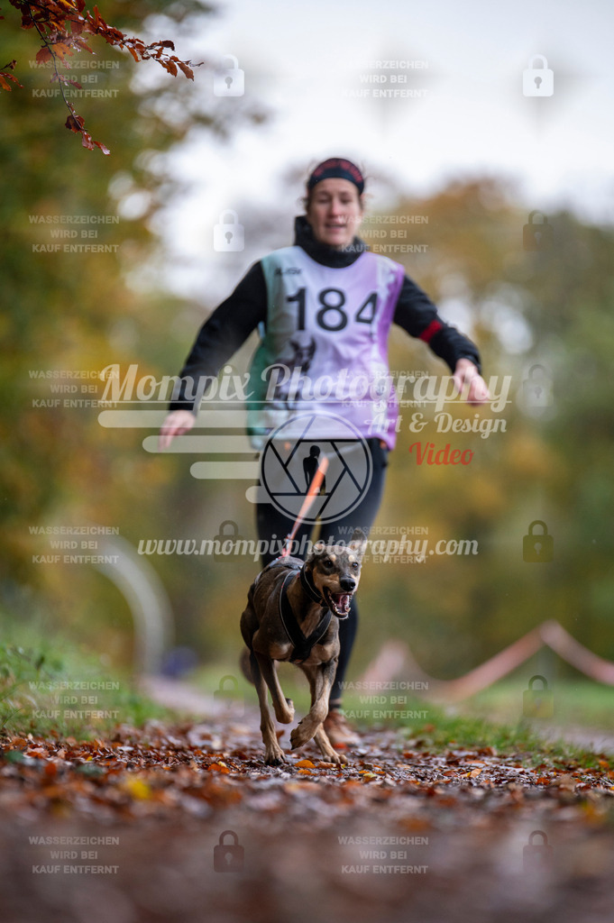 DBT_DAKM_SA_4_11_2023_Canicross-26 | PayLife