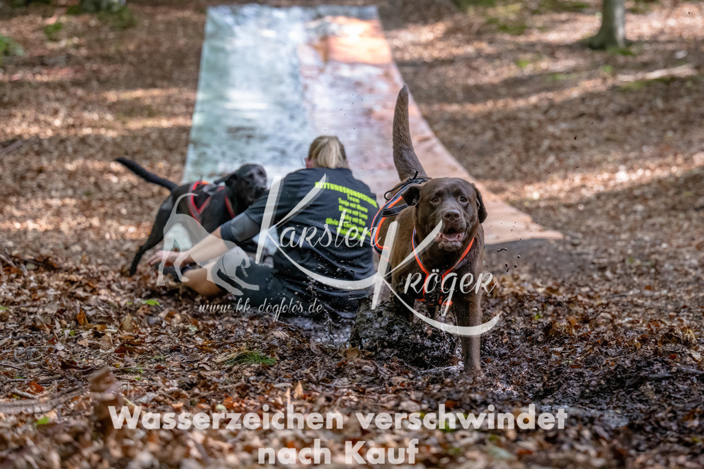 1144_ZZ92350-Bearbeitet | kk-dogfotos