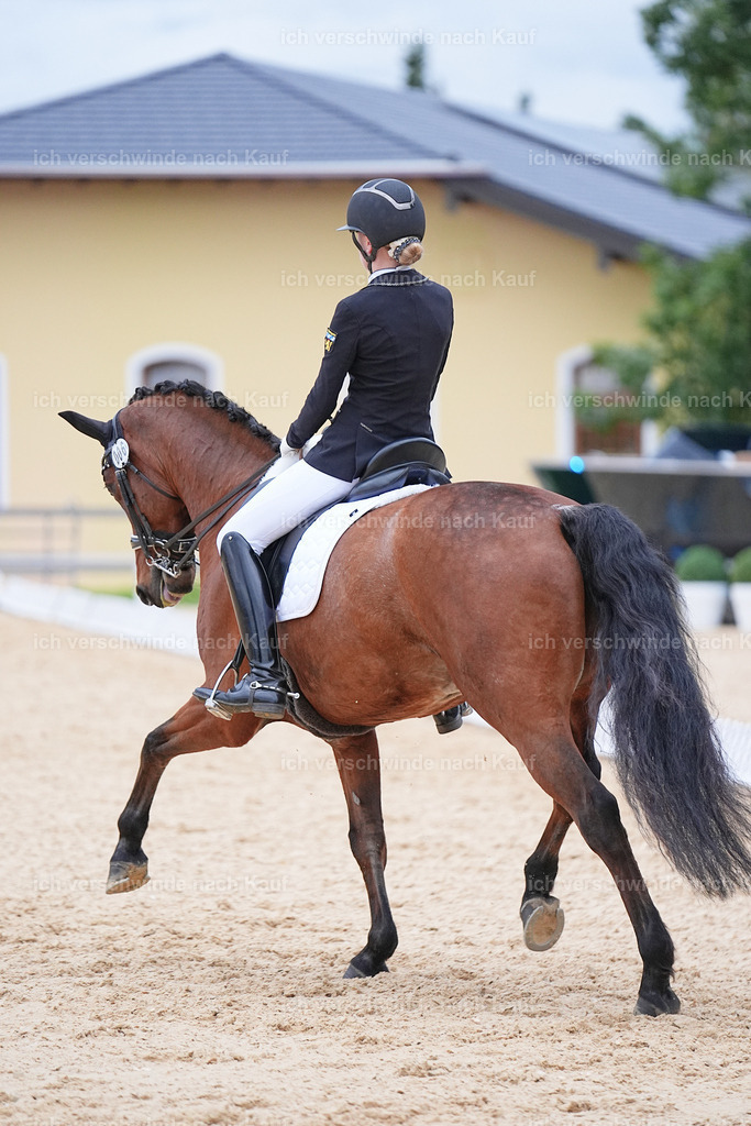 04_2-006-Dressur M__ -Marixx-3081 | working equitationturnier fotograf videograf stoibphotography marixx film working equitation deutschland reitsport turnierfotografie eventfotografie equestrian events