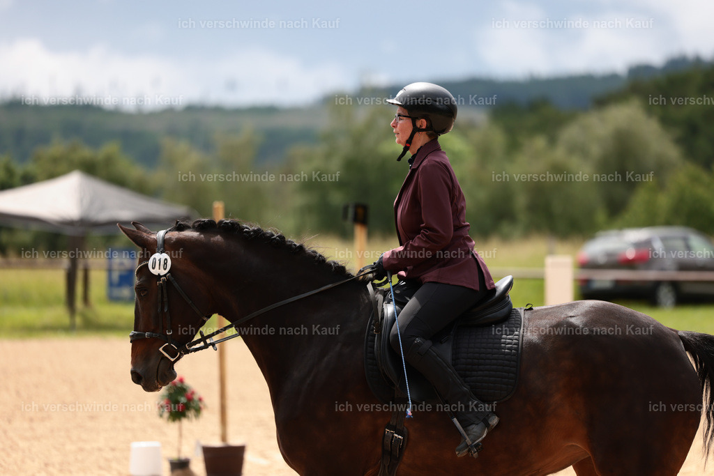KlasseE_Stoibphotography_CAM22045.JPG | working equitationturnier fotograf videograf stoibphotography marixx film working equitation deutschland reitsport turnierfotografie eventfotografie equestrian events