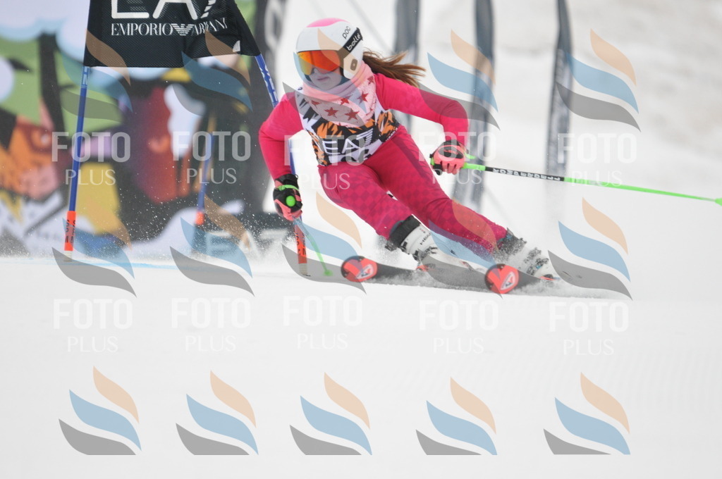 DSC_8018 | holidayphoto