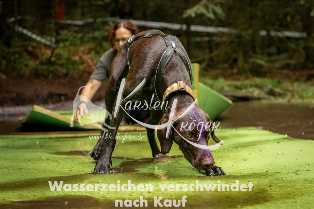 1211_ZZ93061-Bearbeitet | kk-dogfotos