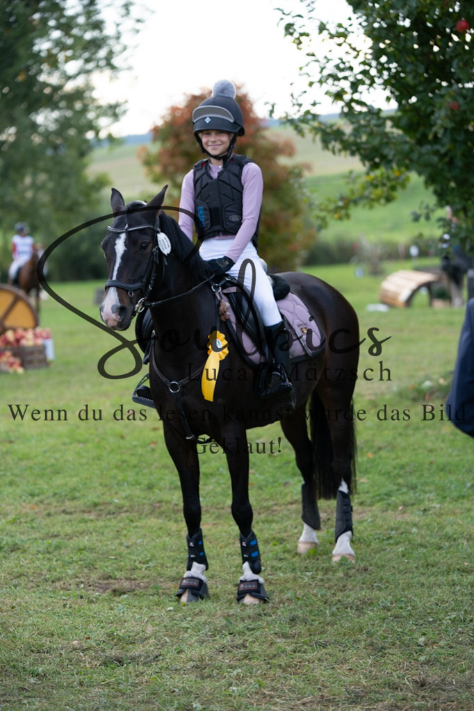 A7V03115 | Turnier/Reitfotograf