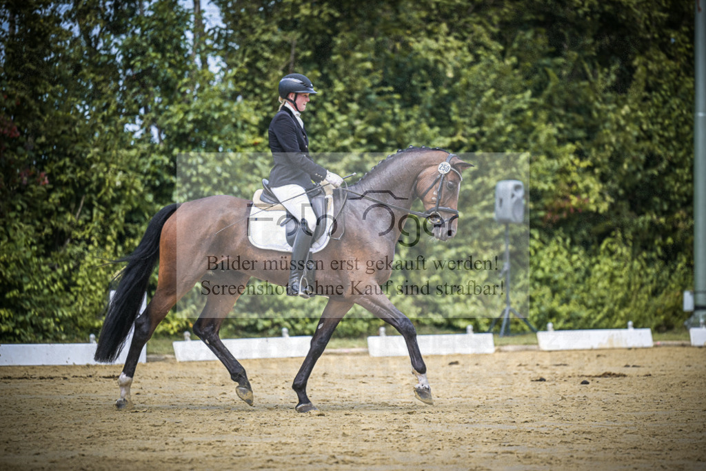 DOS_3201 | Entdecke hochwertige Reitturnierfotos von Foto Oger. Professionell, emotional und authentisch – jetzt Lieblingsmomente im Shop bestellen.Deutschlandweite Turnierfotografie. - Realisiert mit Pictrs.com