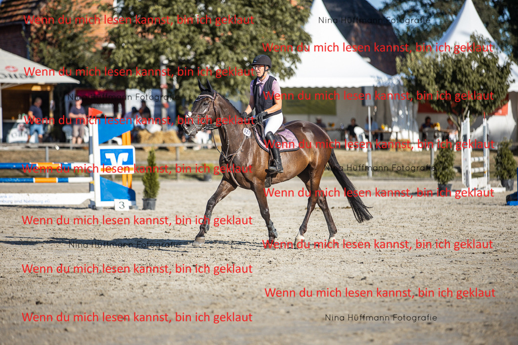BK1A7733 | Turnierbilder Turnierfotos Nina Hüffmann Turnierfotografie Pferdefotografie Tierzeichnung Haustierzeichnung Pferdezeichnung Hundezeichnung Videograf  - Realisiert mit Pictrs.com