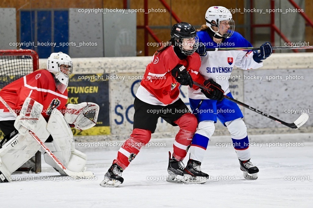 BST_3715 | hockey sports photos, Pressefotos, Sportfotos, hockey247, win 2day icehockeyleague, Handball Austria, Floorball Austria, ÖVV, Kärntner Eishockeyverband, KEHV, KFV, Kärntner Fussballverband, Österreichischer Volleyballverband, Alps Hockey League, ÖFB, 