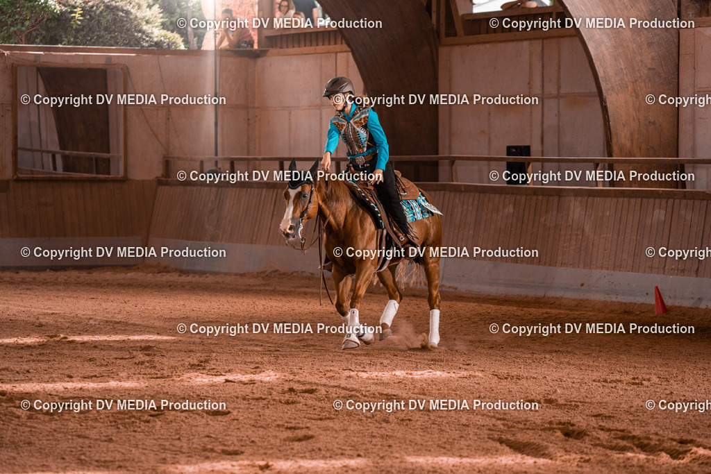 NE201125 | dv-media-shop - Realisiert mit Pictrs.com