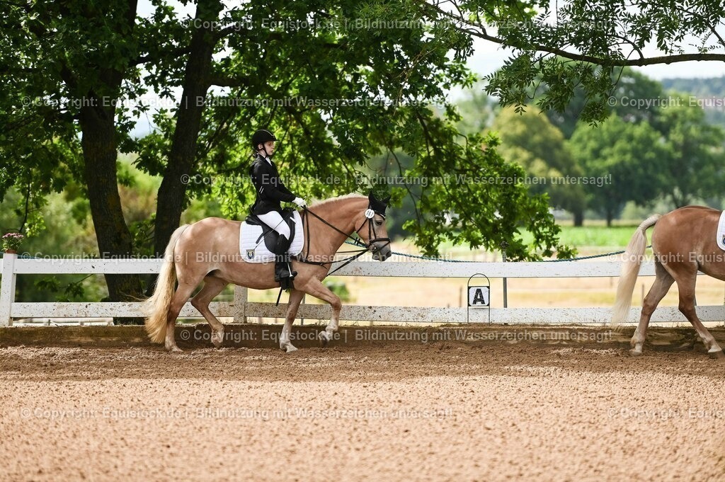20230716_10-1_Reiter-WB Schritt - Trab - Galopp_0064 | equistock