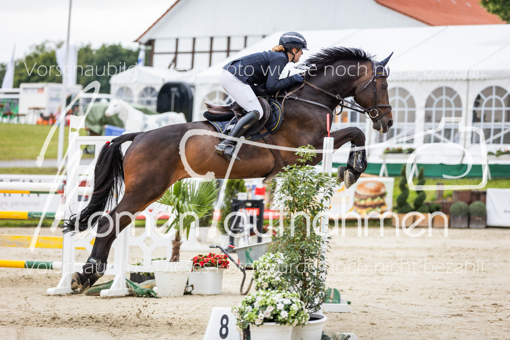 BHO-2PhSpr-M-232 | MomenTaufnahmen Pferdesportfotos