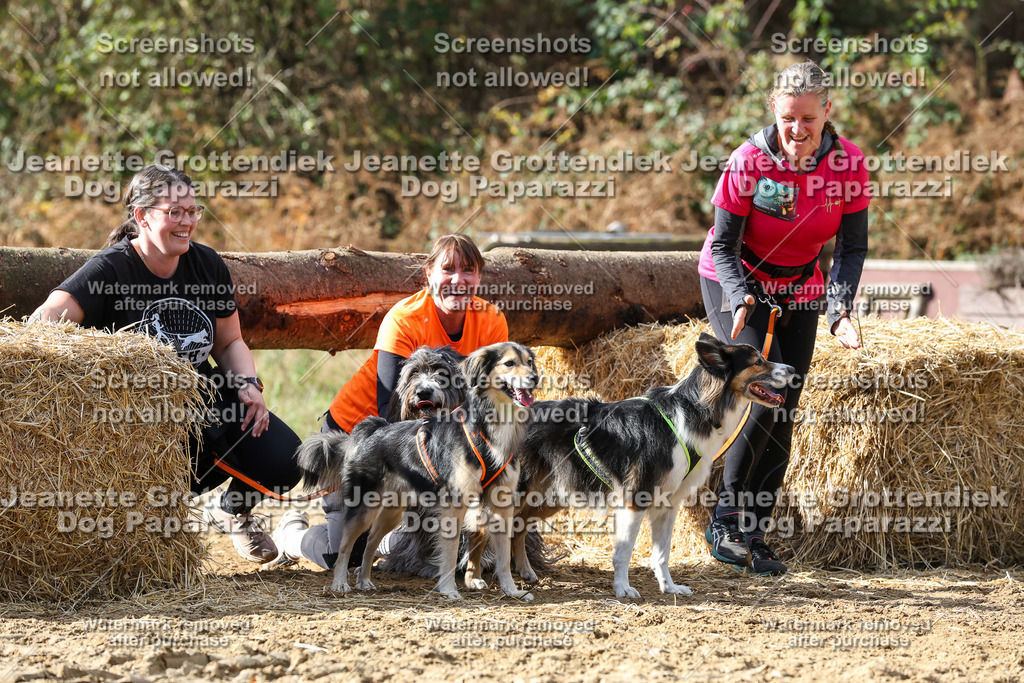 Dog Paparazzi - Strongdog 10-25-5009 | Dog Paparazzi Jeanette Grottendiek Fotografie & Videografie - Realisiert mit Pictrs.com