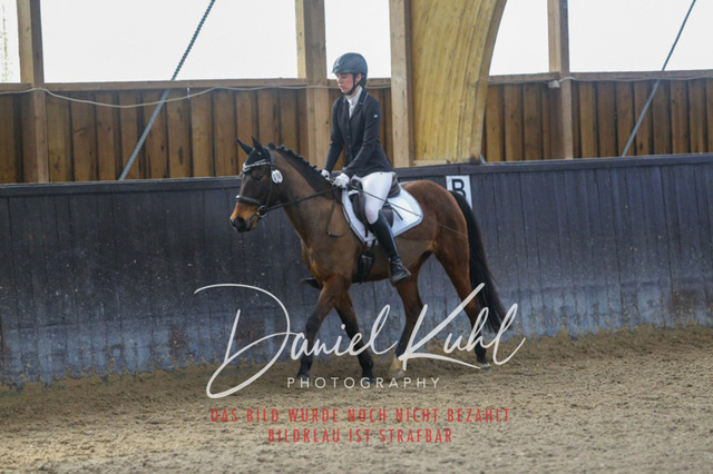 IMG_1110 | Turniersportfotografie; Pferdefotografie; Dressurfotografie