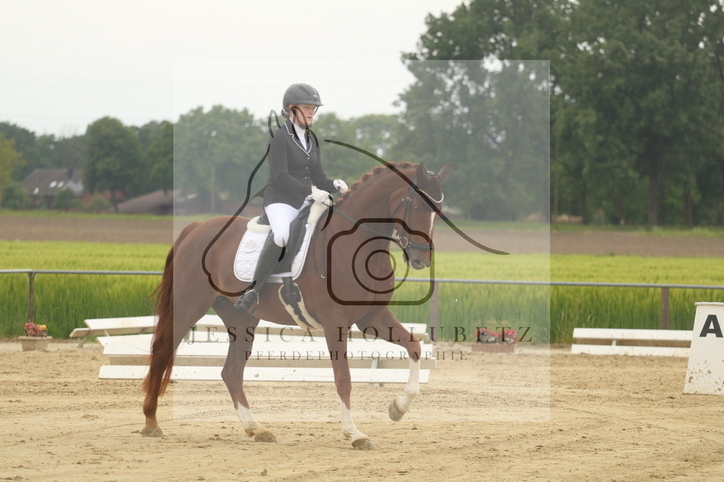 IMG_6716 | jessicahollubetz_pferdephotographie - Realisiert mit Pictrs.com