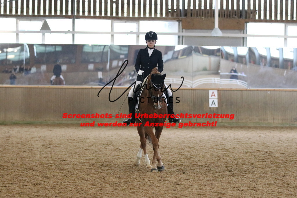 IMG_6991 | lmwpictures - Realisiert mit Pictrs.com