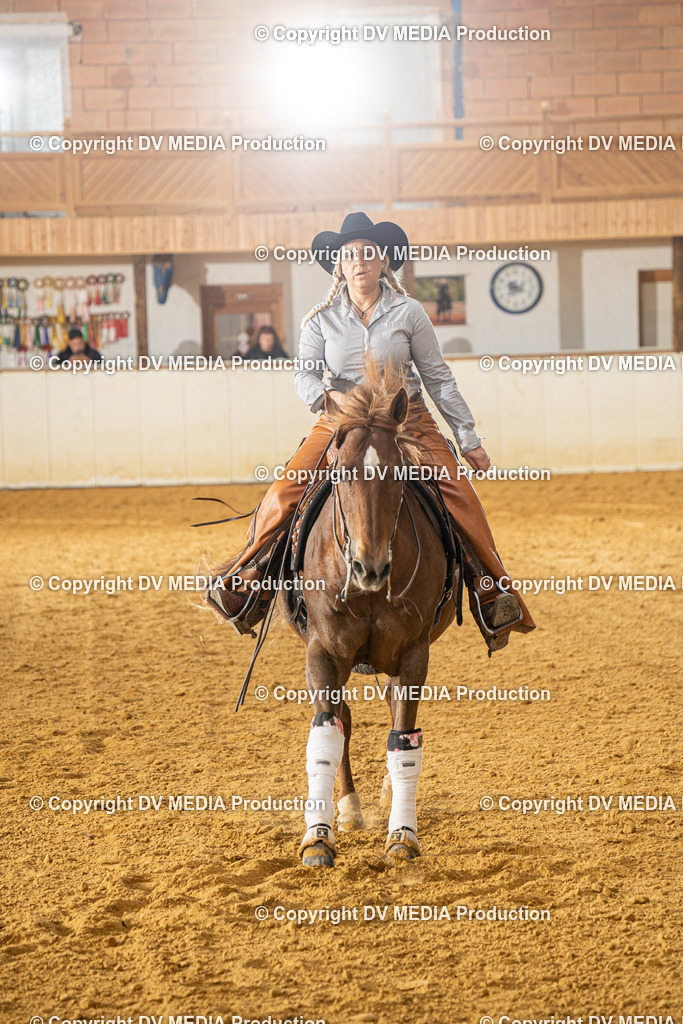 MIT00711 | dv-media-shop - Realisiert mit Pictrs.com