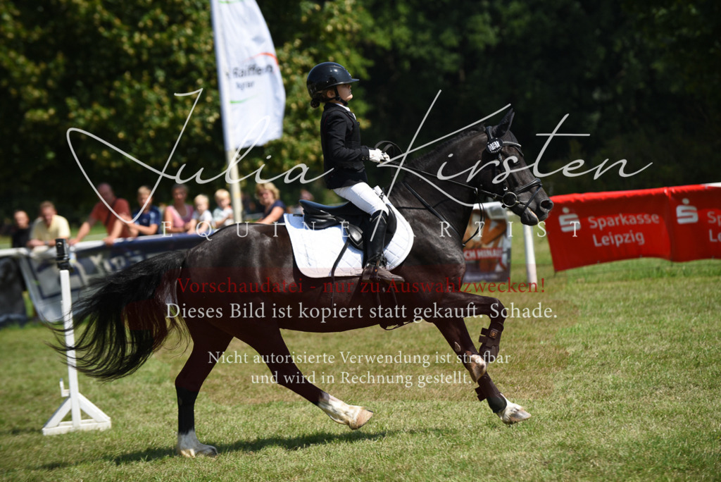 DSC_9985 | Pferde- und Turnierfotografie in Westsachsen. Pferdeportraits, Auftragszeichnungen und intuitive Kunst.