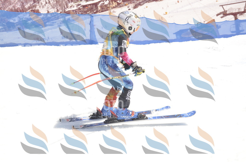 _ELE9546 | holidayphoto