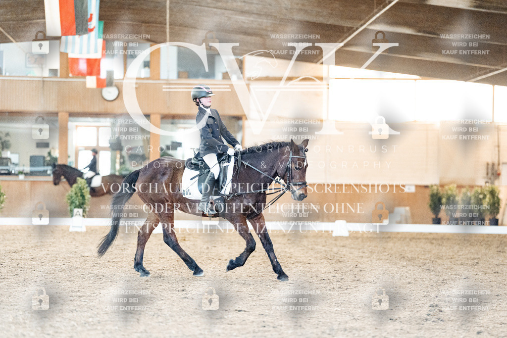 CK907178 | Turnierfotografie Pferdefotografie Trier Rheinland-Pfalz Pferdesport Reitsport Tierfotografie Sportfotografie Pferdevideo Pferdevideografie Equestrianvideography equestrianphotography  - Realized with Pictrs.com