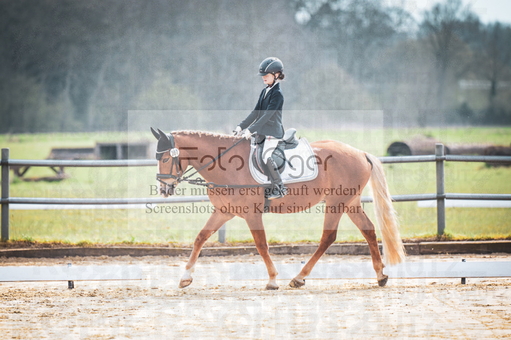 DOS_5156 | Entdecke hochwertige Reitturnierfotos von Foto Oger. Professionell, emotional und authentisch – jetzt Lieblingsmomente im Shop bestellen.Deutschlandweite Turnierfotografie. - Realisiert mit Pictrs.com